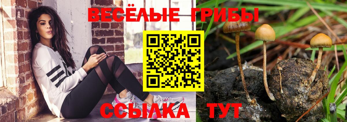 Гашиш  ГАШ  Владикавказ  A-PVP СК кристаллы  Кокаин  МЕФ   Марихуана  Вход с VPN 