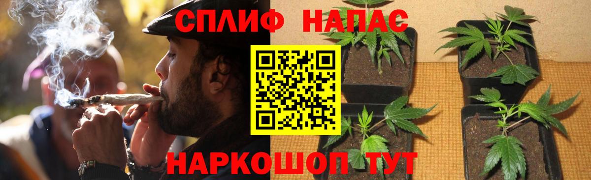 Каннабис Amnesia  Вход с VPN  Владикавказ  Каннабис тримм  Канабис Bruce Banner 